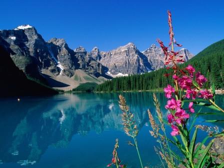 Beautiful Wallpapers from Windows Vista Starter Desktop ...