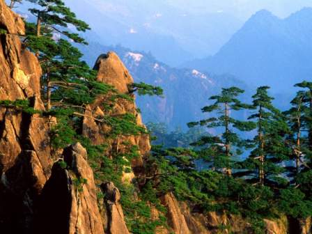 Scenery Desktop Background Wallpaper