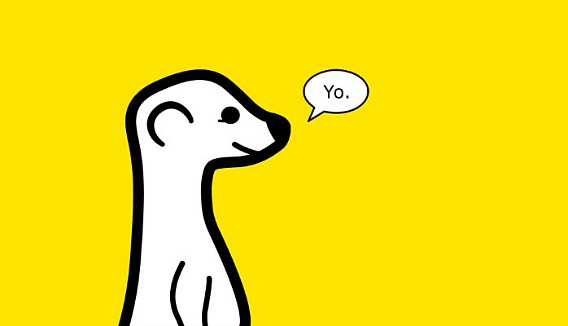 How To Add “Follow me on Meerkat” Button to Website or Blog