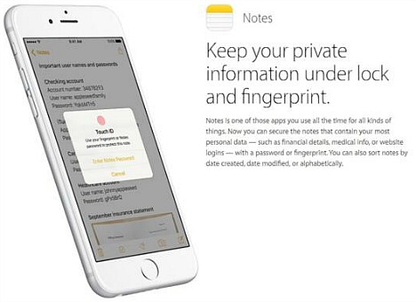 download the new for ios NoScript 11.4.25 download the new for ios NoScript 11.4.25