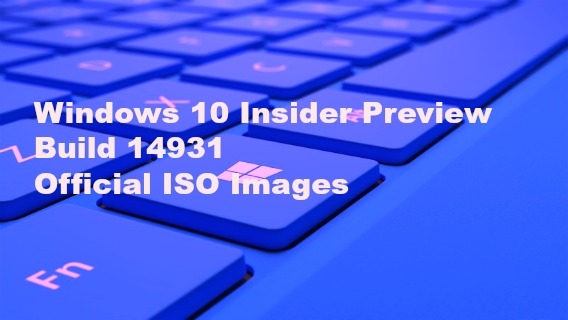 Iso Iso